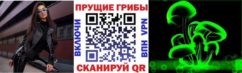 Купить где Покров Галлюциногенные грибы мухоморы
